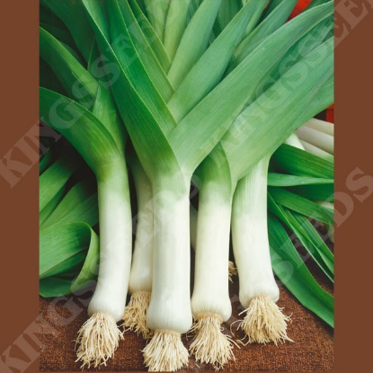 Picture of Leek Musselburgh